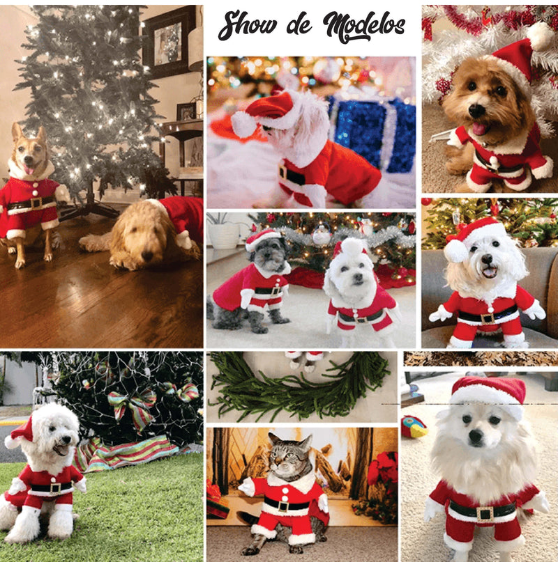Santa Doggy - Roupinha Pet Elegante Natalina