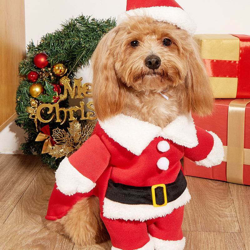 Santa Doggy - Roupinha Pet Elegante Natalina